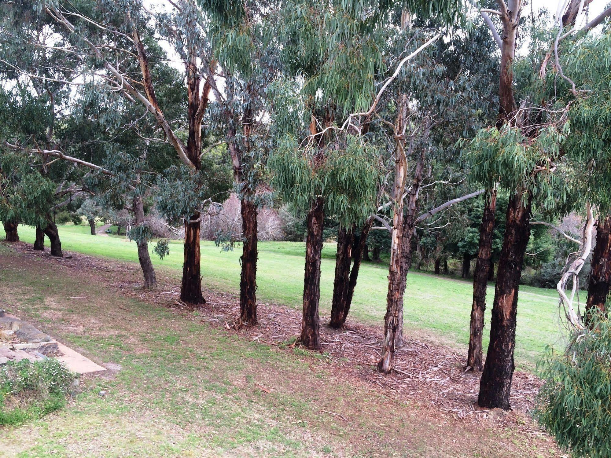 Daylesford By The Lake Cute&Cosy Studio Otel Dış mekan fotoğraf